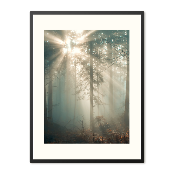 Poster in Lijst Zonnestraal in het Winterwoud