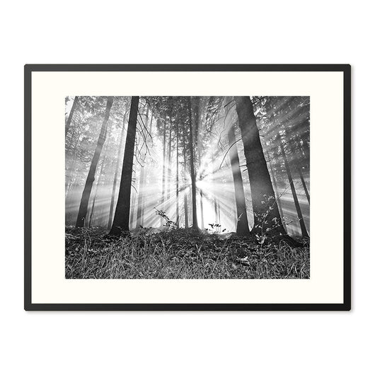 Poster in Lijst Bosmagie bij Dageraad