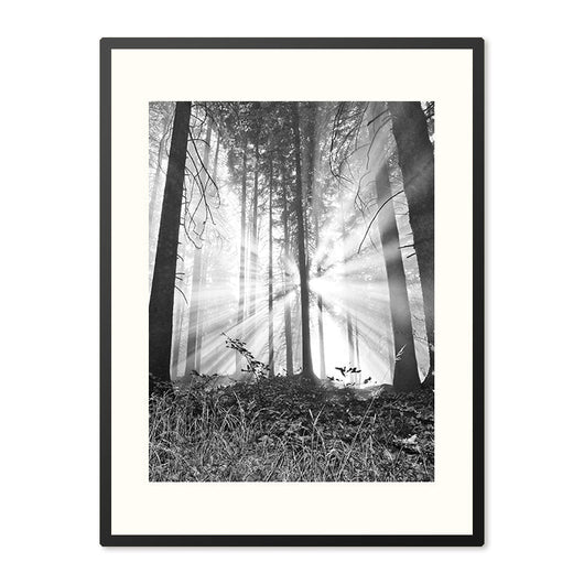 Poster in Lijst Bosmagie bij Dageraad