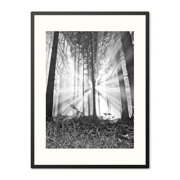 Poster in Lijst Bosmagie bij Dageraad