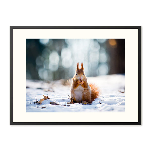 Poster in lijst Notenfeest in de Sneeuw