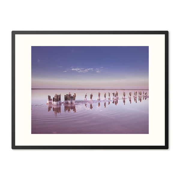 Poster in lijst Roze Zoutmeer Panorama