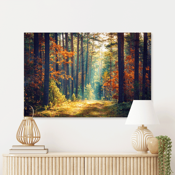 Schilderij Ochtend in Herfstbos