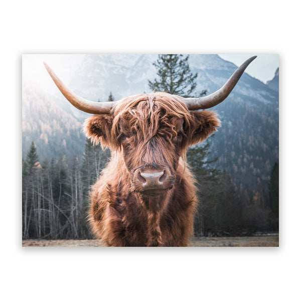 Schilderij Schotse Parel