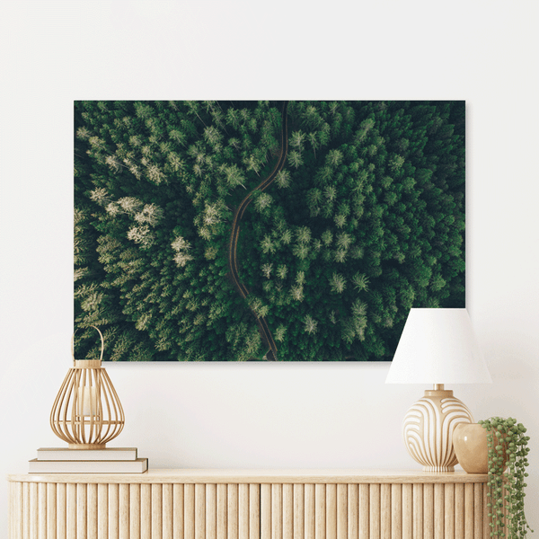 Schilderij Weg Door Het Bos Vanuit De Lucht