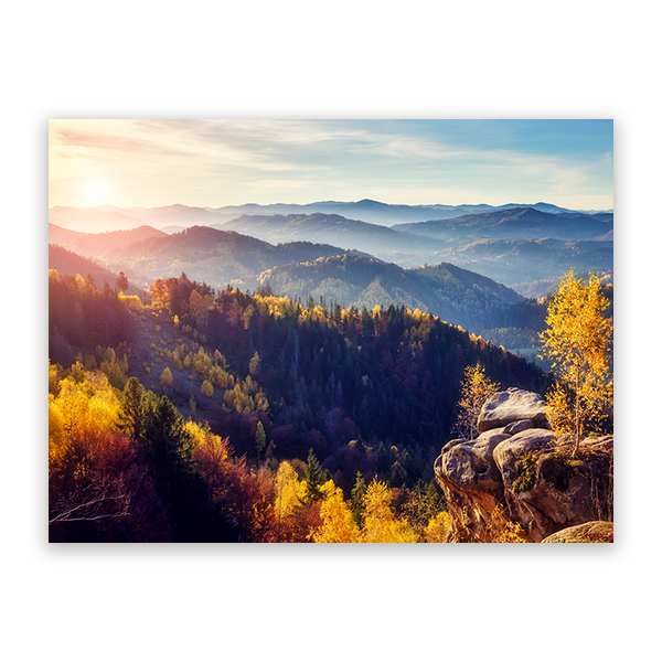 Schilderij Zonovergoten Vallei