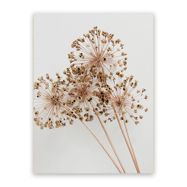 Schilderij Droogbloemen