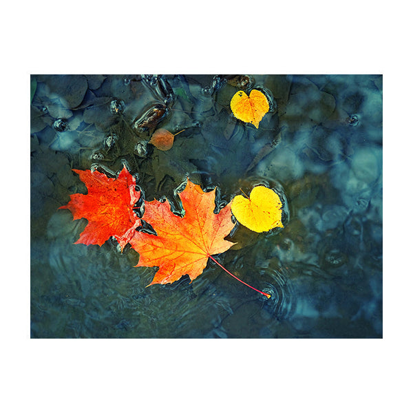 Schilderij Herfstbladeren in Donkerblauw Water