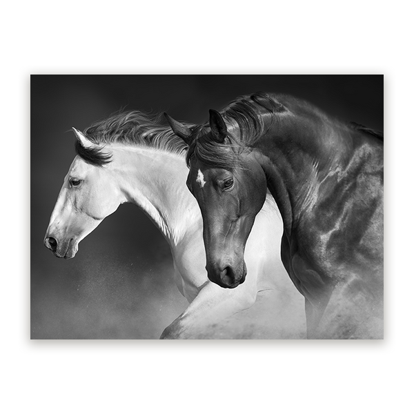 Schilderij Galopperende Sierlijkheid