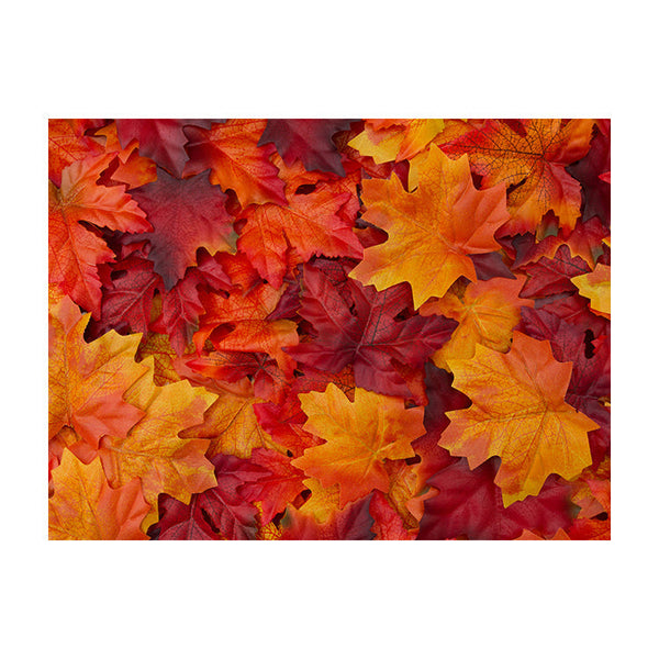 Schilderij Herfstbladeren