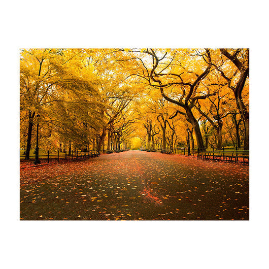 Schilderij Betoverde Herfstlaan