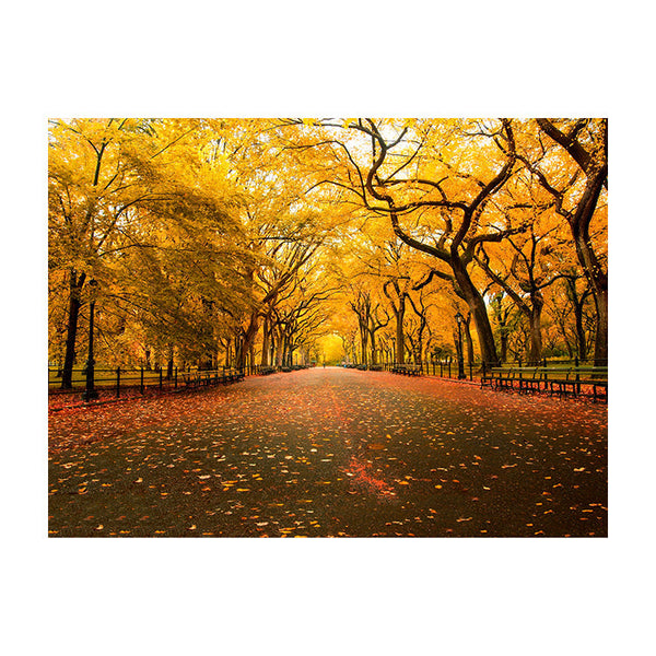 Schilderij Betoverde Herfstlaan