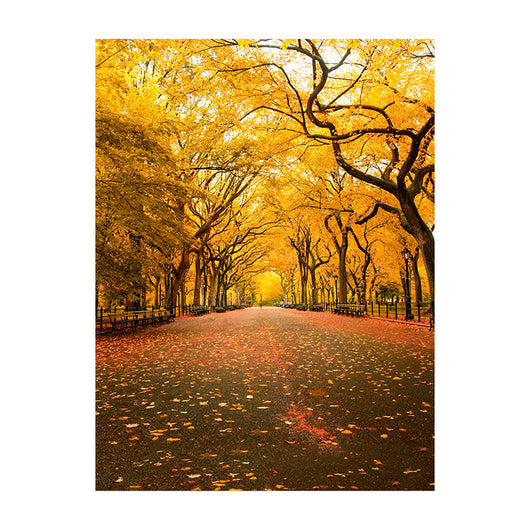 Schilderij Betoverde Herfstlaan