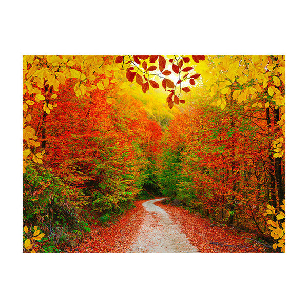 Schilderij Kleurrijke Herfstwandeling in het Bos