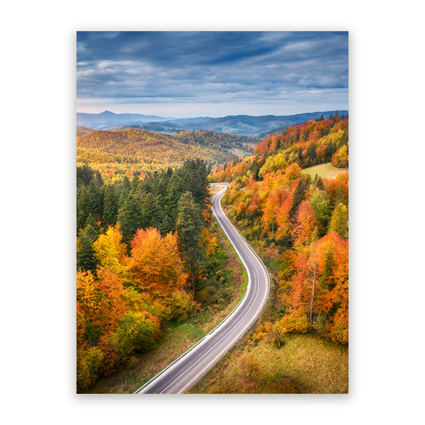 Schilderij Herfstroute van Boven