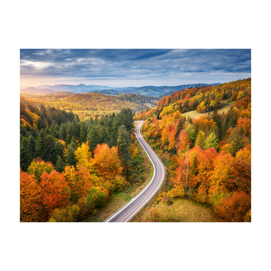 Schilderij Herfstroute van Boven