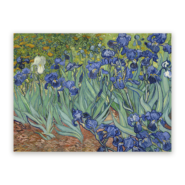 Schilderij Irissen
