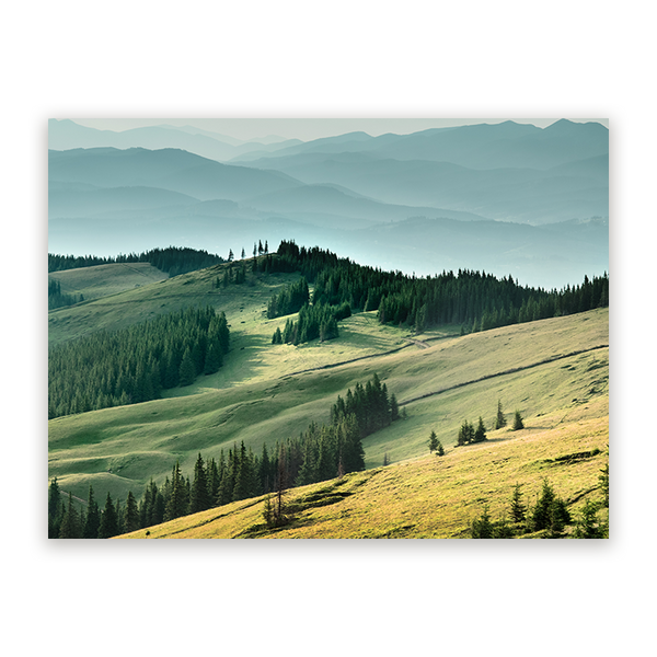 Schilderij Karpaten Gebergte