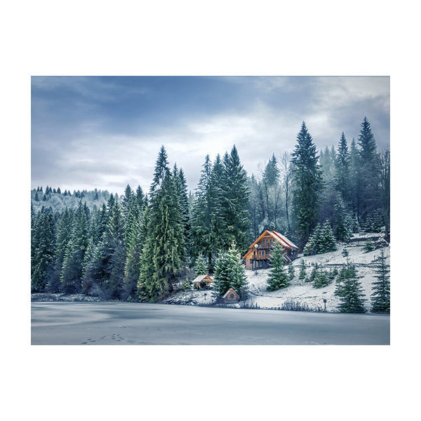 Schilderij Karpaten Winterwonder