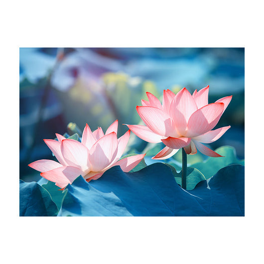 Schilderij Stralende Lotus