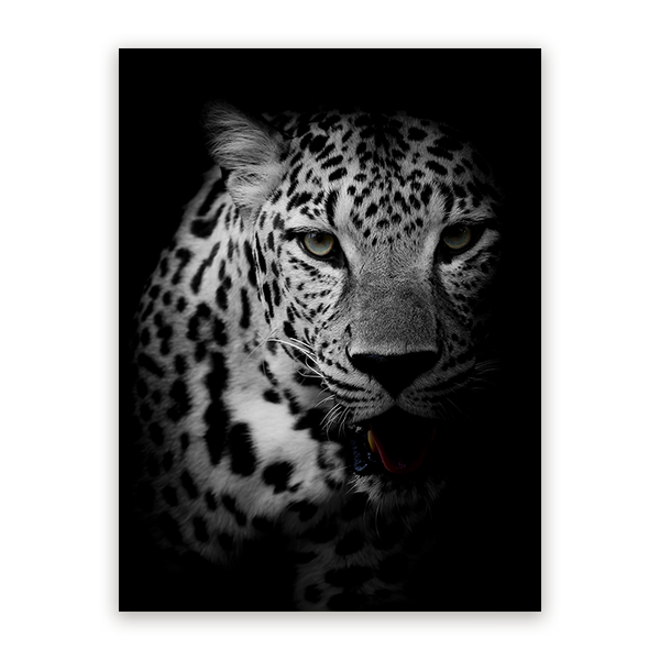 Schilderij Luipaard in Licht en Schaduw