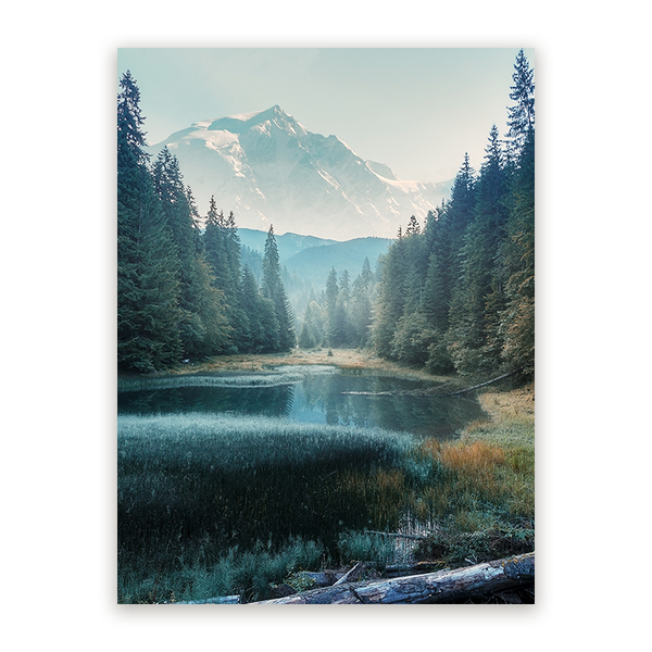 Schilderij Mistige Ochtendmagie