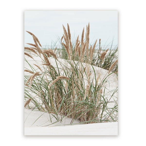 Schilderij Noordzee Duinen