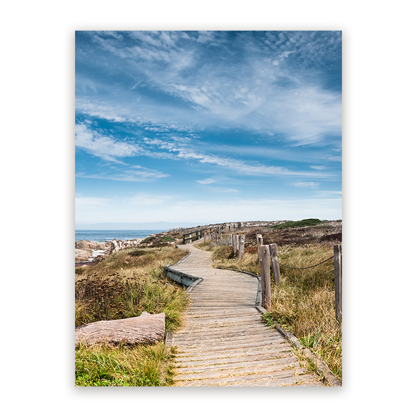 Schilderij Pacific Grove