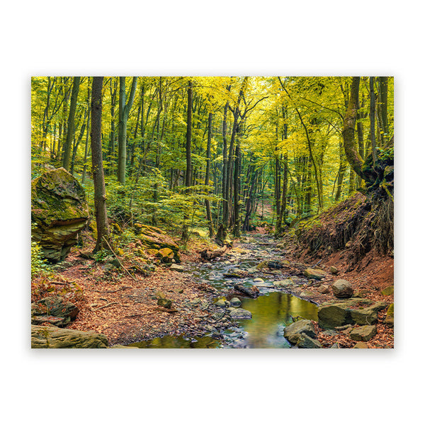 Schilderij Prachtig Herfstbos