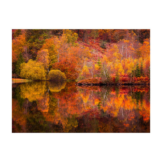 Schilderij Reflecties van de Herfst