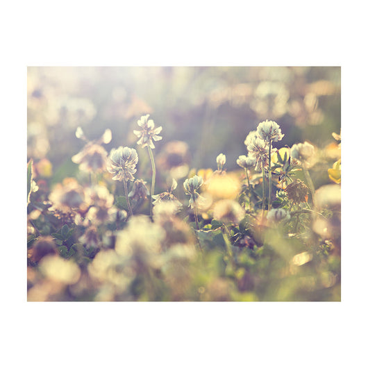 Schilderij Vintage Flowers