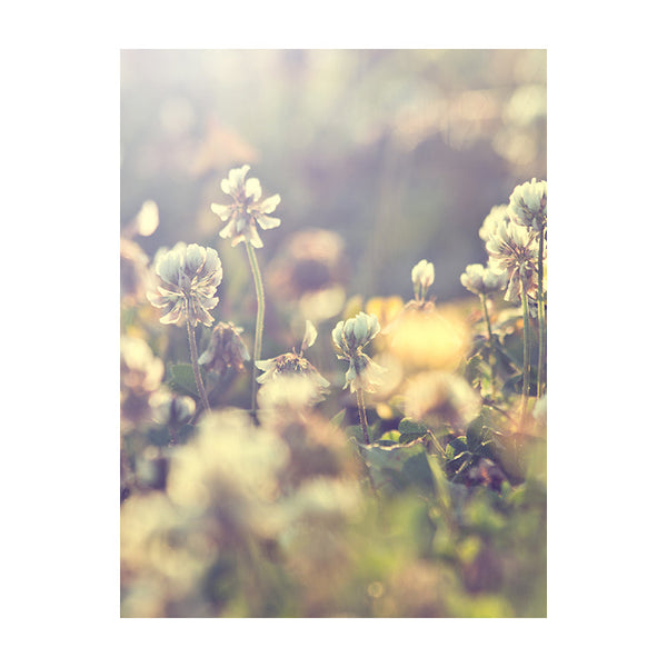 Schilderij Vintage Flowers