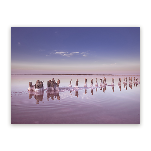 Schilderij Roze Zoutmeer Panorama