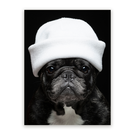 Schilderij Elegante Bulldog