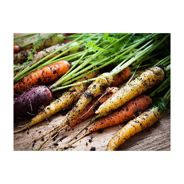 Schilderij Verse Regenboog Wortels