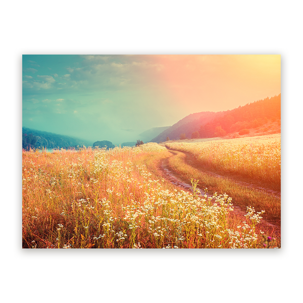 Schilderij Weidse Zonnegloed