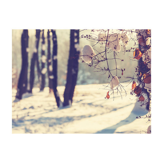 Schilderij Winters Spel van Licht en Schaduw