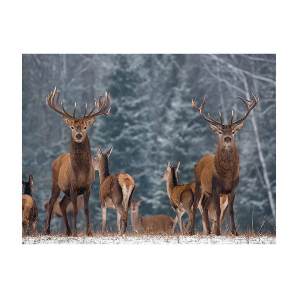 Schilderij Winterlandschap met Edelherten