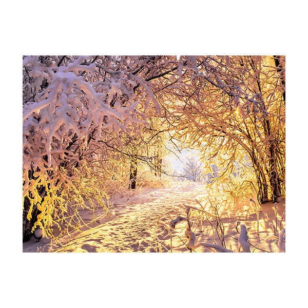 Schilderij Winterse Betovering