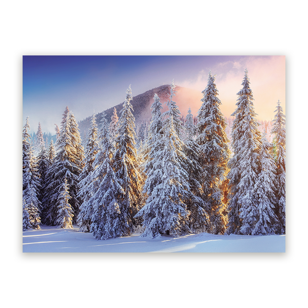 Schilderij Winterwoud