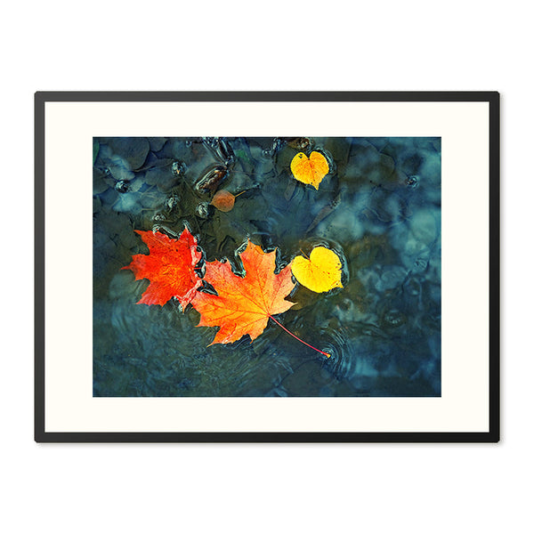 Poster in Lijst Herfstbladeren in Donkerblauw Water