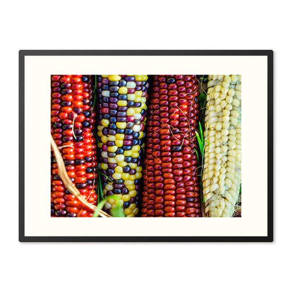 Poster in Lijst Siermais Regenboog