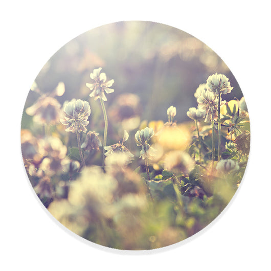 Muurcirkel Vintage Flowers