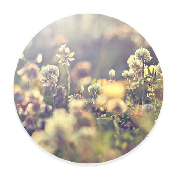 Muurcirkel Vintage Flowers